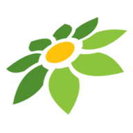 LINK KOKO99